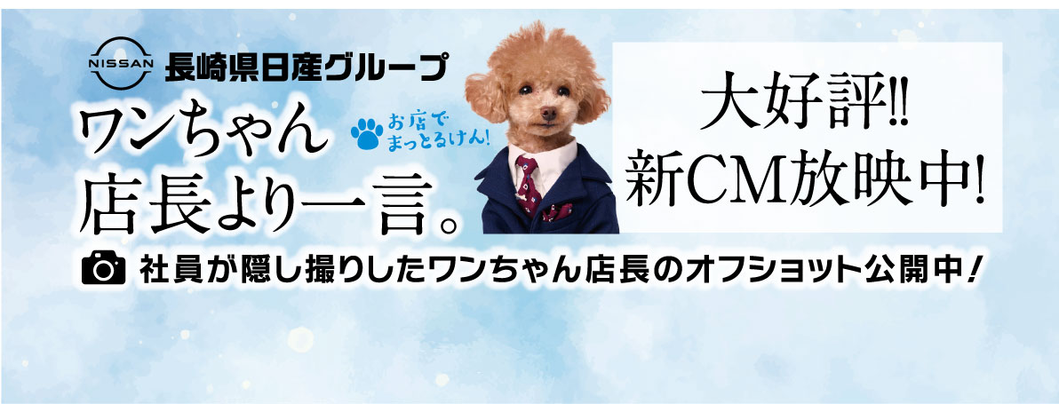 ワンちゃん店長より一言