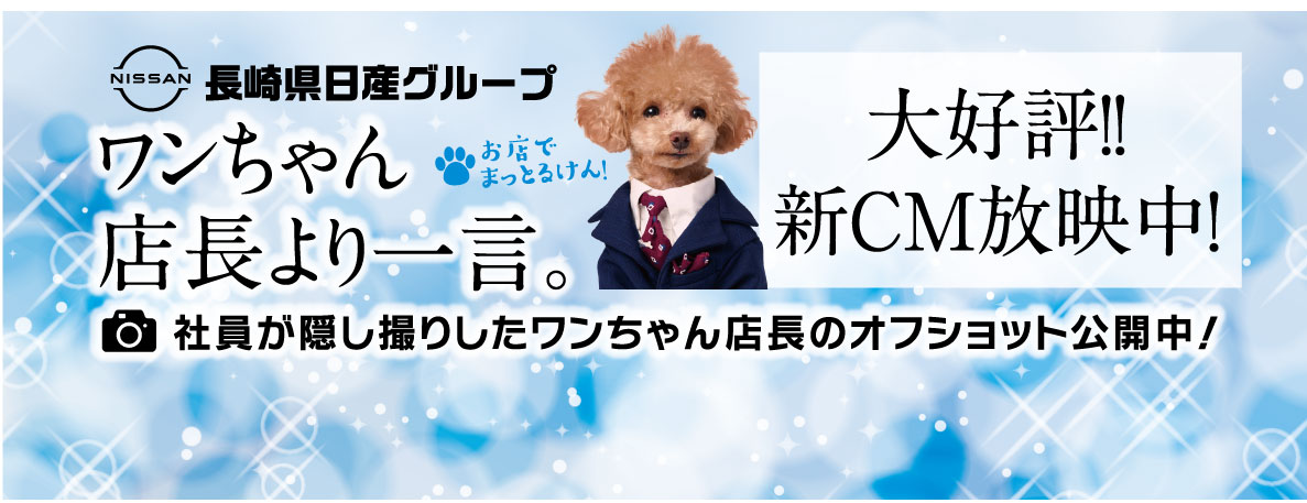 ワンちゃん店長より一言