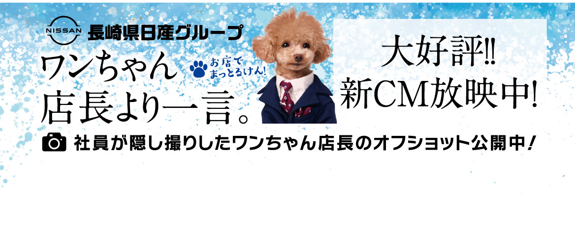 ワンちゃん店長より一言