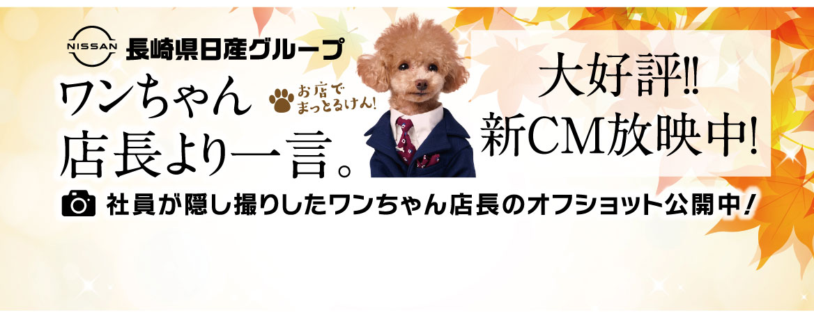 ワンちゃん店長より一言