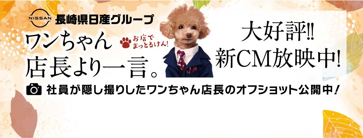 ワンちゃん店長より一言