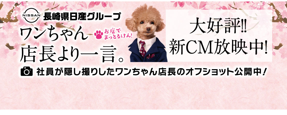 ワンちゃん店長より一言