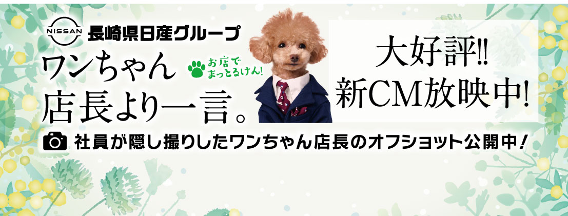 ワンちゃん店長より一言