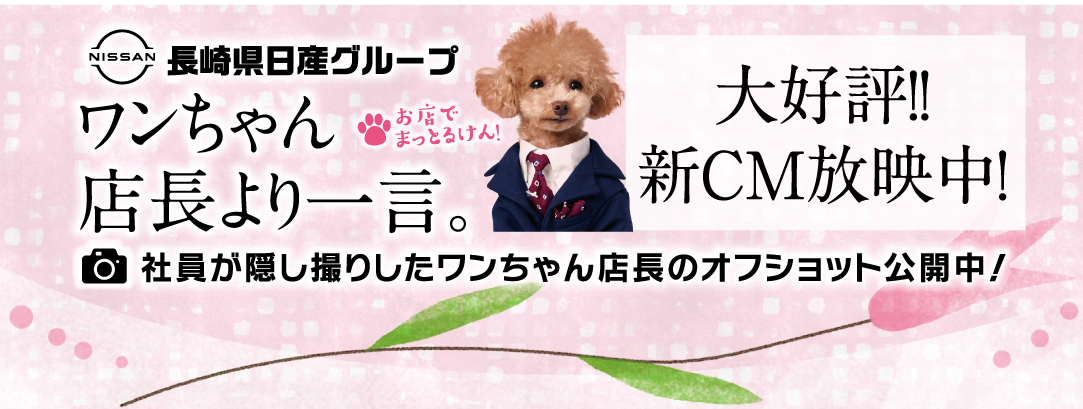 ワンちゃん店長より一言