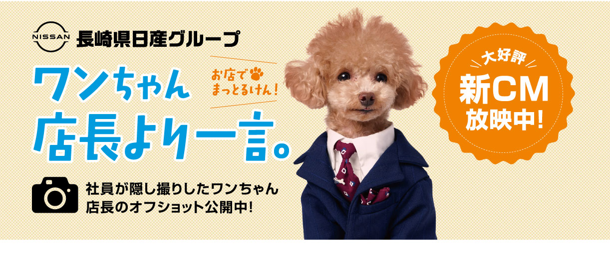 ワンちゃん店長より一言