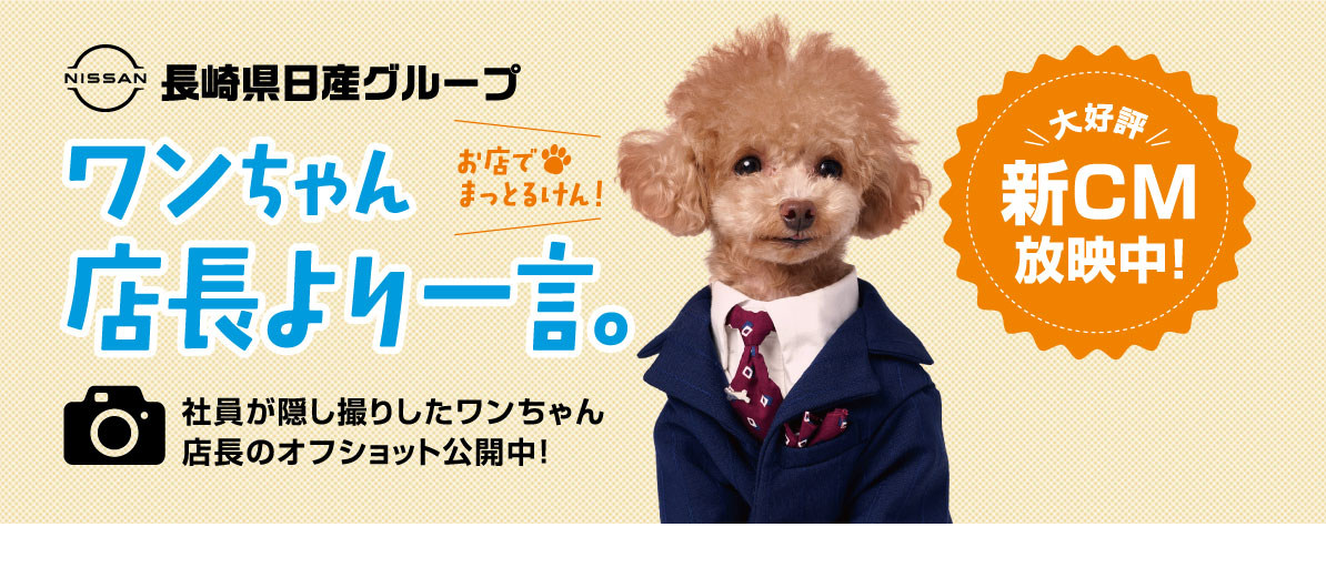 ワンちゃん店長より一言