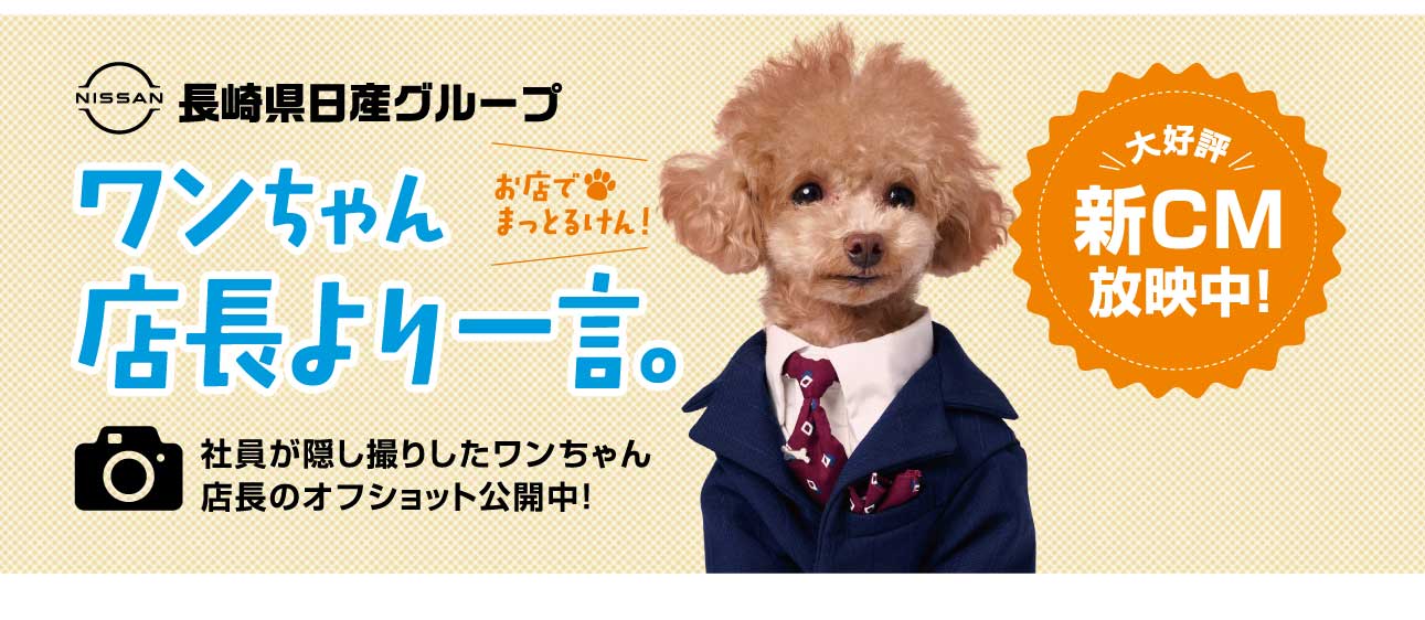 ワンちゃん店長より一言