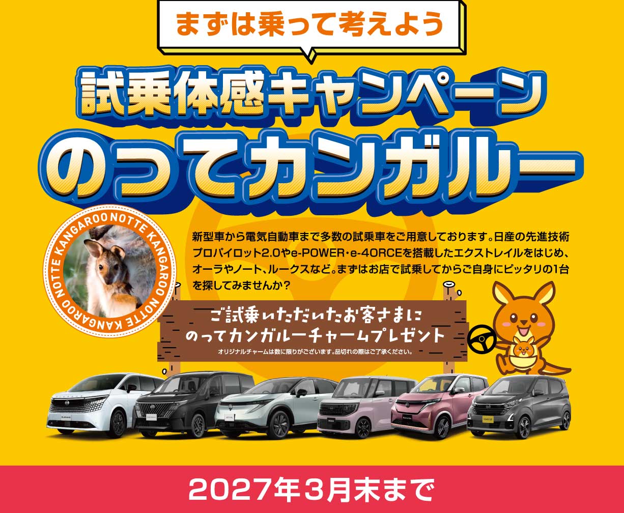 試乗体験キャンペーン のってカンガルー
