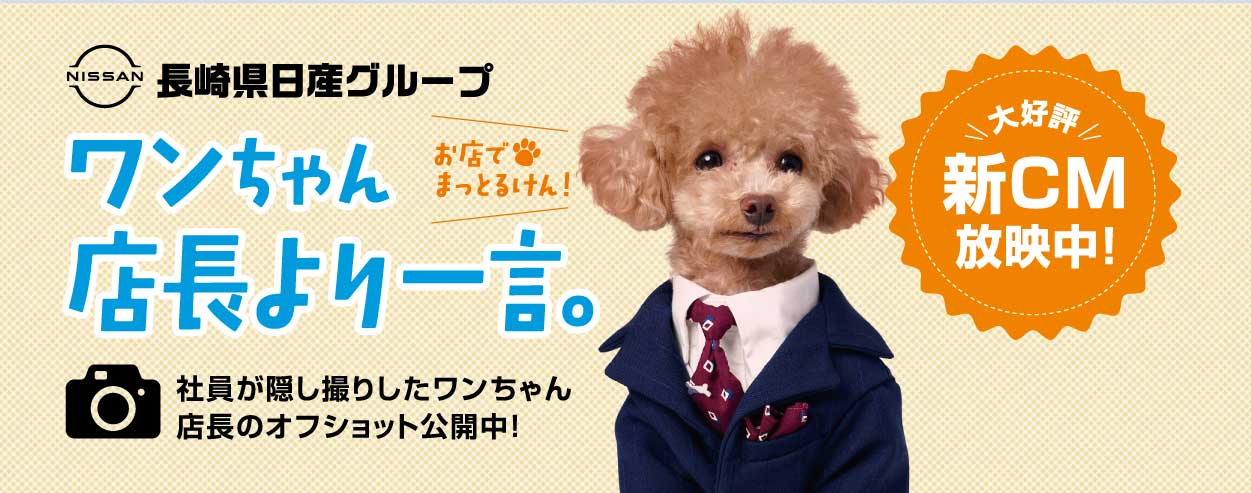 ワンちゃん店長より一言