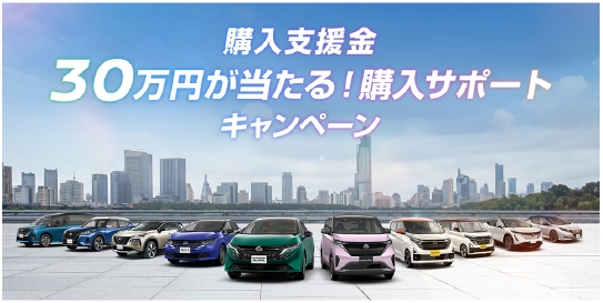 30万円が当たる！購入サポートキャンペーン