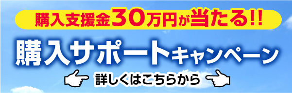 30万円が当たる！購入サポートキャンペーン