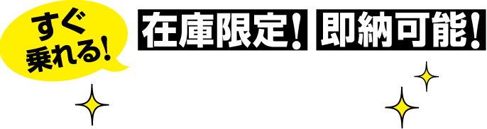 在庫限定！即納可能！