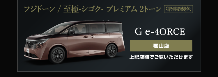 フジドーン／至極-シゴク- プレミアム 2トーン（特別塗装色）G e-4ORCE・X e-4ORCE セレクトベース天理店でご覧いただけます