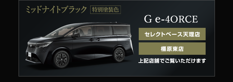 ミッドナイトブラック（特別塗装色）G e-4ORCE・X e-4ORCE 橿原東店・高田店でご覧いただけます