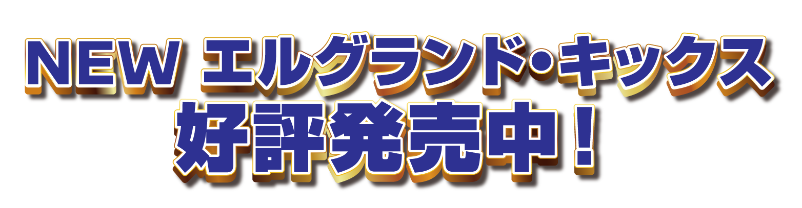 NEWエルグランド・キックス好評発売中