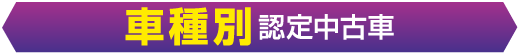 車種別認定中古車