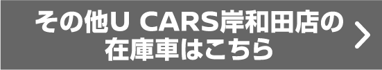 その他U CARS岸和田店の在庫車はこちら
