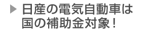 国の補助金