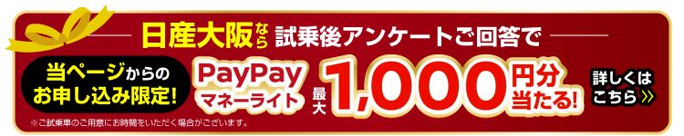 試乗でpaypayマネーライトが当たるキャンペーン