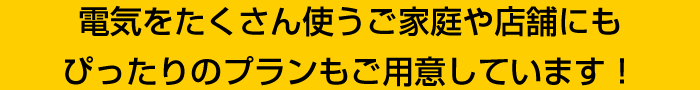 電気をたくさん使うご家庭や店舗にもぴったりのプランもご用意しています！
