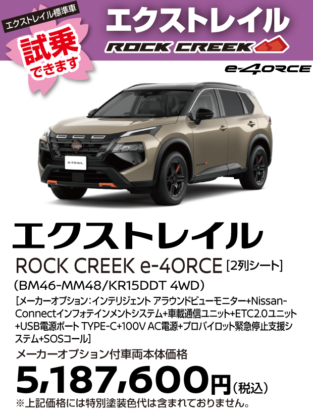 X-TRAIL