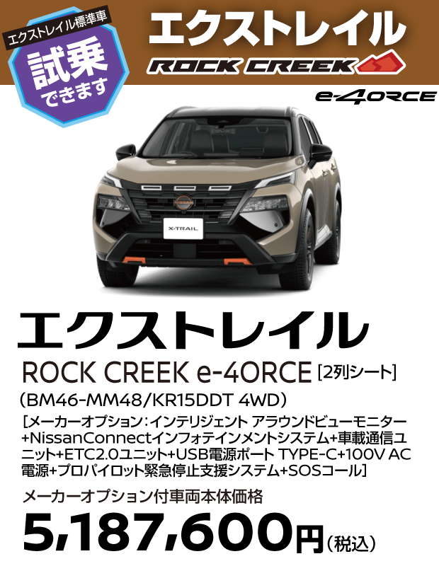X-TRAIL