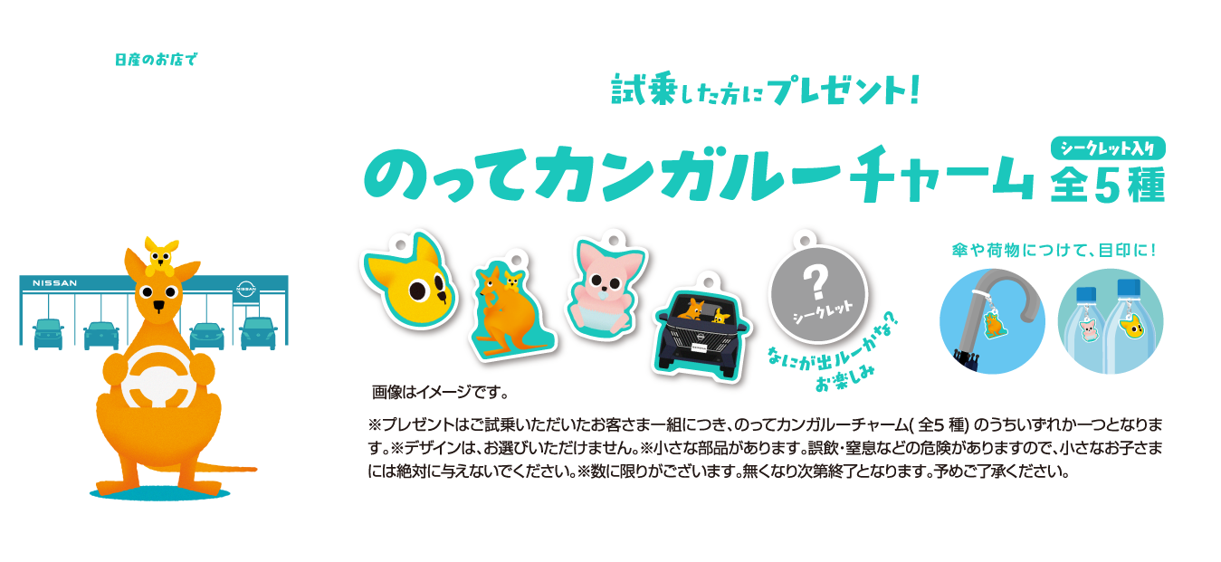 乗ってカンガルー