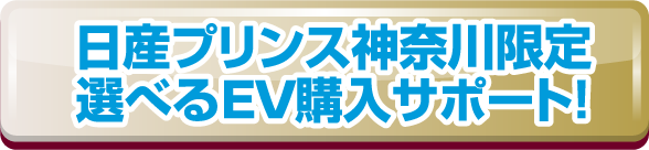 日産プリンス神奈川限定選べるEV購入サポート！