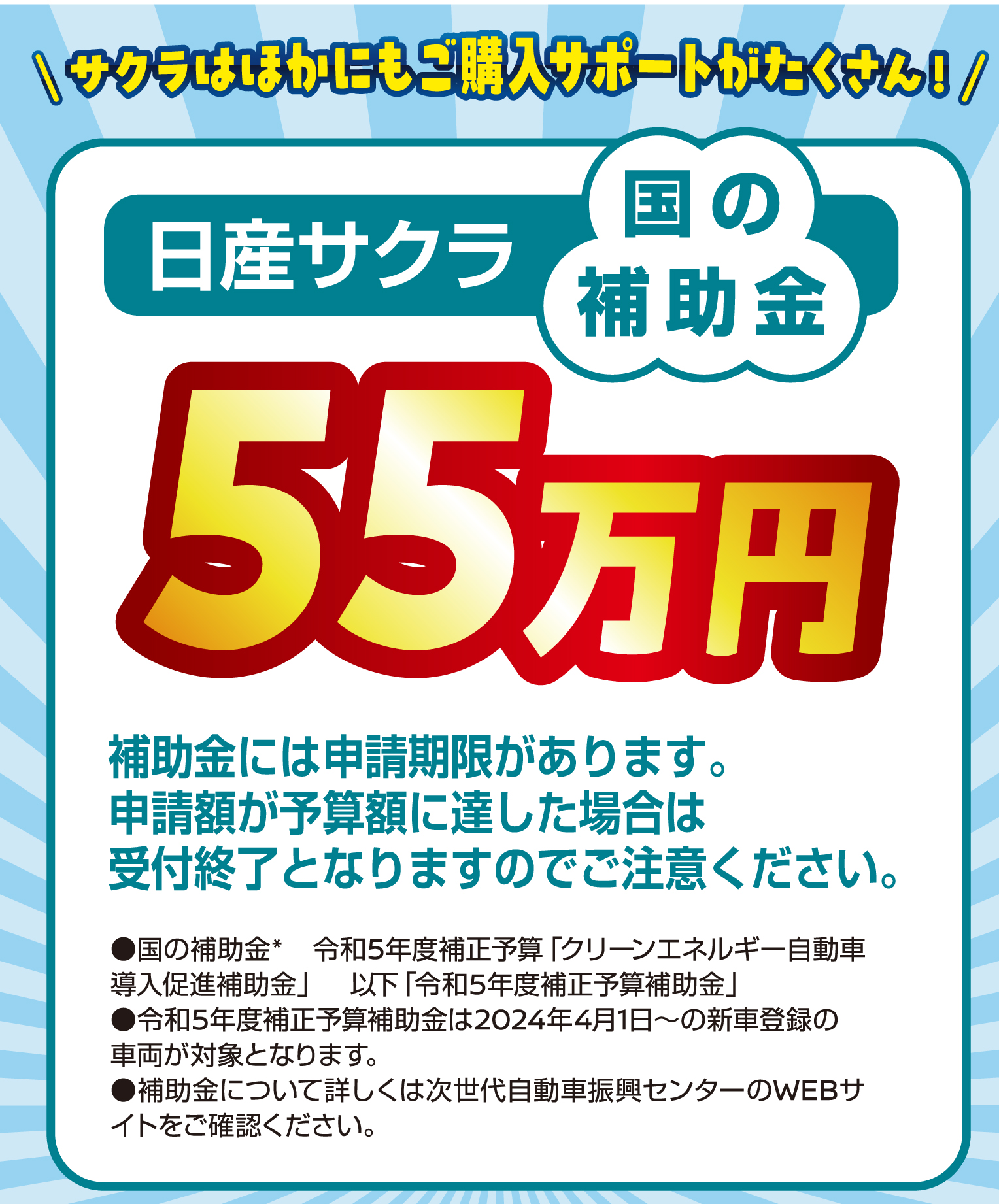 国の補助金55万円