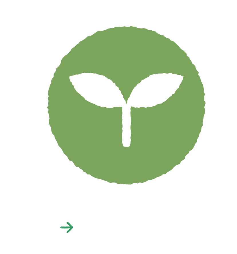 環境