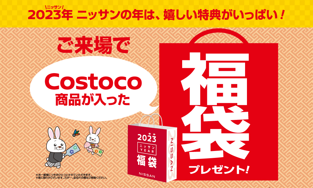 ご来場特典-コストコ商品が入った福袋-