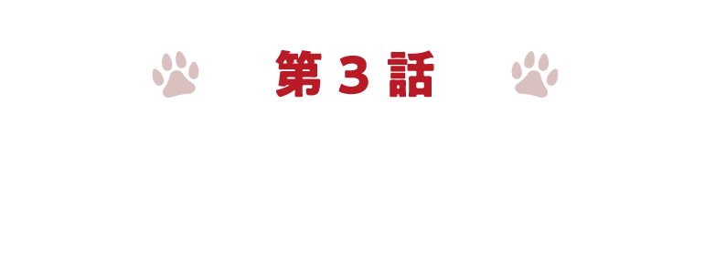 第3章スタッフ篇