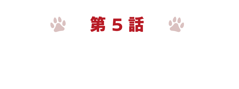 第5章充電設備篇