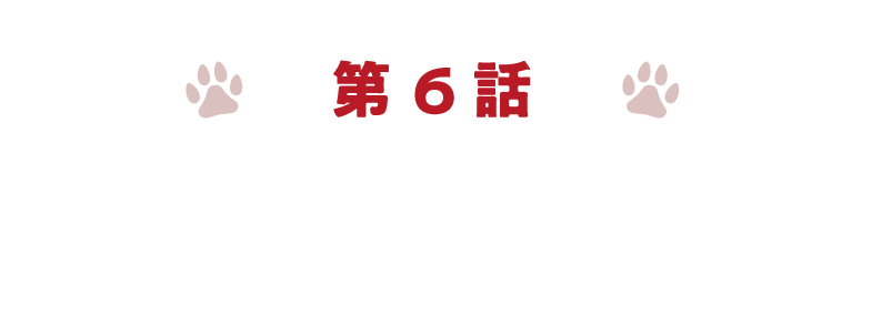 第6章カーライフアドバイザー篇