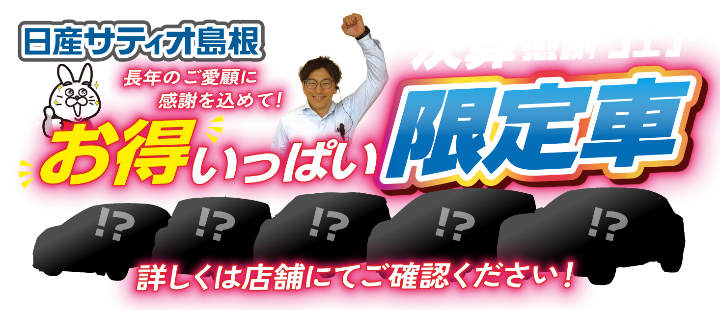 お得いっぱい限定車