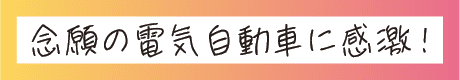 念願の電気自動車に感激!