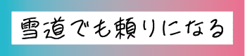 雪道でも頼りになる